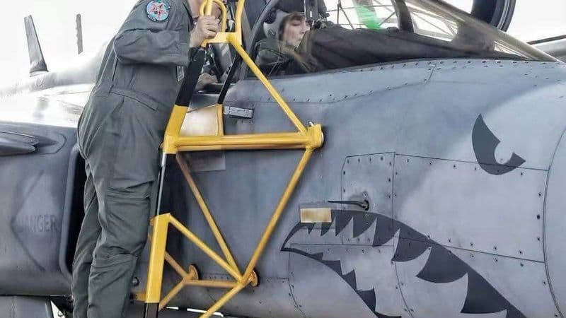 King Observes Queen’s First Solo Flight in JAS 39 Gripen, Presents Flowers After Training