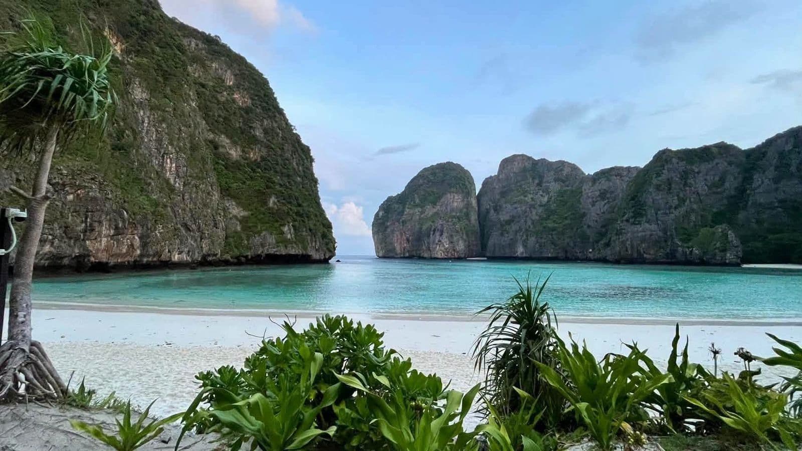 Maya Bay Reopens: 5 Days Back in the Andaman Paradise
