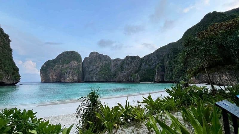 Maya Bay Reopens: 5 Days Back in the Andaman Paradise