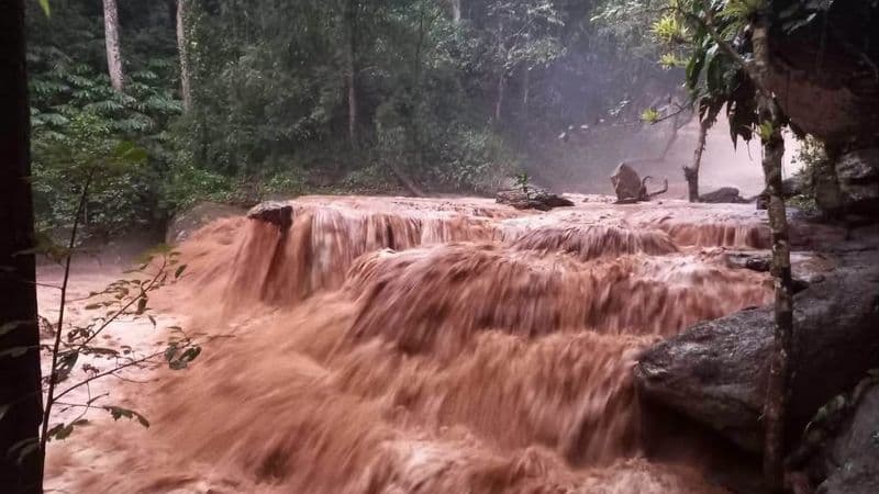 BREAKING: Mae Sa and Tat Mok Waterfalls Temporarily Closed